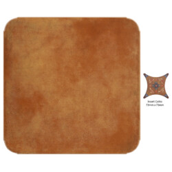 4008 Cotto Tiles By Timex Ceramic